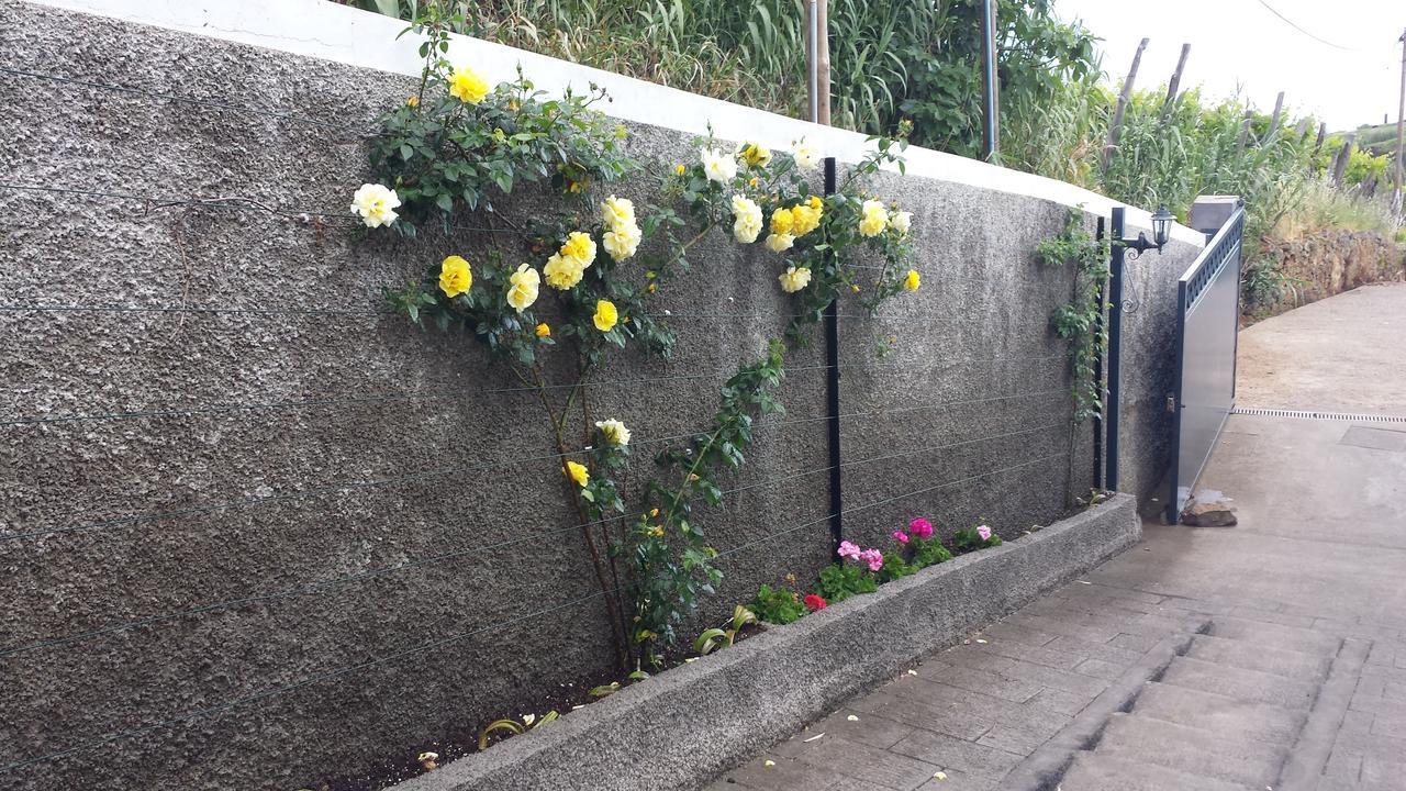 Estreito Da Calheta Paraiso Das Flores מראה חיצוני תמונה