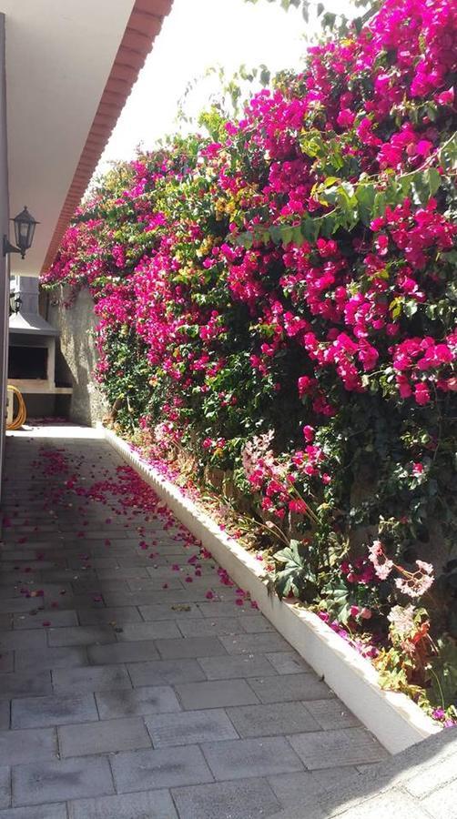 Estreito Da Calheta Paraiso Das Flores מראה חיצוני תמונה