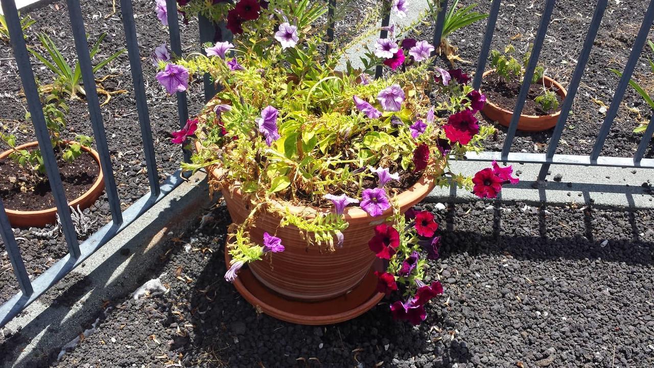 Estreito Da Calheta Paraiso Das Flores מראה חיצוני תמונה