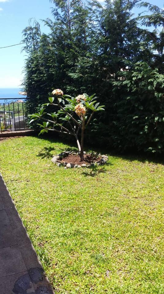 Estreito Da Calheta Paraiso Das Flores מראה חיצוני תמונה